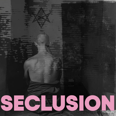 Seclusion EP by The Black Dog (Downloads)